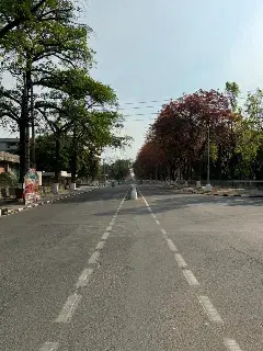 Panjab University Chandigarh Campus photo 5